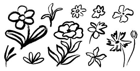 Wall Mural - simple linear flowers on isolated background. hand drawn botanical illustrations. doodle flowers and