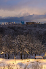 Wall Mural - city park and houses on horizon in winter night