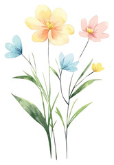 Canvas Print - PNG Aesthetic spring flower flowers art illustration.