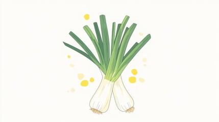 Wall Mural - Fresh scallions, kitchen ingredient, white background, food illustration, recipe website