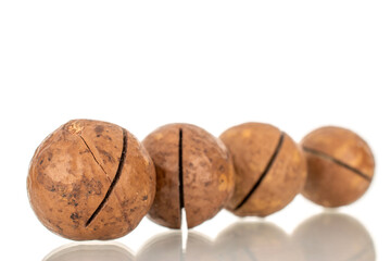 Wall Mural - Several macadamia nuts, close-up, isolated on a white background.