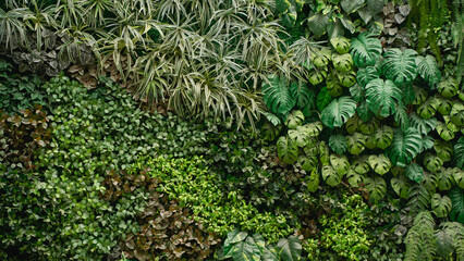 Wall Mural - Close-up background of vibrant green leaves with rich textures, creating a bright and fresh natural atmosphere with an exotic botanical pattern.