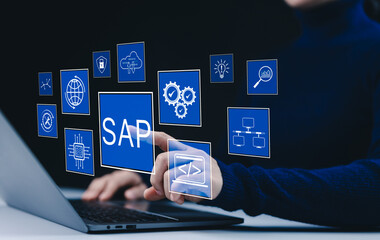 business process automation and management software concept. sap system application products, a pers