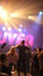 © Michael - Music fans cheering at a lively concert with colorful lights in the background