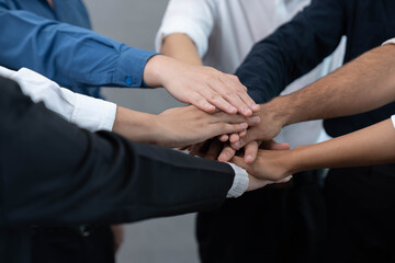 Wall Mural - Group of diverse office worker join hand together in office room symbolize business synergy and strong productive teamwork in workplace. Cooperation and unity between business employee. Prudent