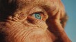 © Ilona - The striking close-up reveals the deep lines and textures of an elderly person's skin surrounding a vivid blue eye. Soft light enhances the eye's color, highlighting age and wisdom