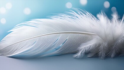 close up of a white feather against a serene backdrop with room for creativity