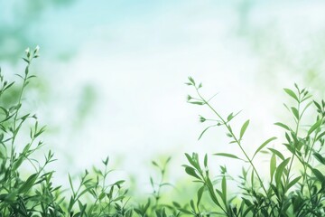 Fototapete - Lush green plants captured in bright daylight with a soft blurred background during the spring season. Generative AI