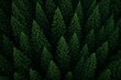 © Space Priest - Lush green coniferous forest aerial view with dense evergreen trees