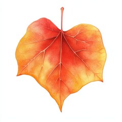 Wall Mural - A watercolor illustration of an autumn leaf in red and orange, isolated on white. Forest nature and plant foliage leaves. Creative clipart suitable for Halloween, stickers, cards, wallpapers,