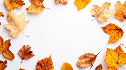 Fototapete - Colorful maple and oak leaves arranged on a white background for autumn decoration and design. Generative AI