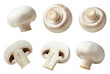 © Tati - Six different views of white mushrooms, showcasing their caps and stems on transparent background