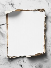 Fototapete - Blank torn paper on textured gray background with rough edges and subtle shadows creating an artistic display. Generative AI