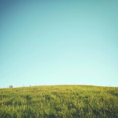 Fototapete - Vast green landscape under a clear blue sky during a sunny summer afternoon in a peaceful rural area. Generative AI