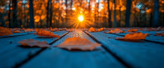 Sticker - Autumn sunset, leaves on boardwalk, forest background, nature scene