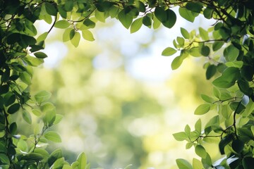 Poster - Sunlight filtering through vibrant green leaves in a lush outdoor setting during daytime. Generative AI