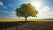 © Natchooda - A vibrant green tree stands proudly in a vast, open field, with fertile brown soil beneath and the warm midday sun shining down, symbolizing natural resilience.