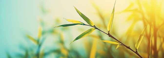 Aufkleber - Gentle Bamboo Leaves Captured in Morning Light with Bright Colors and Depth of Field : Generative AI