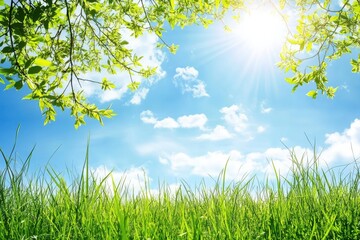 Poster - Bright sunlight filters through green leaves in a lush meadow on a clear day with fluffy clouds. Generative AI