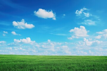 Fototapete - Vibrant green grass stretches under a bright blue sky with fluffy white clouds during a sunny day in a tranquil landscape. Generative AI
