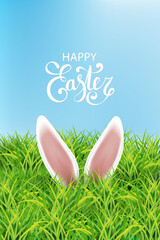 Wall Mural - white rabbit ears sticking out of the grass. spring landscape with blue sky. cute cartoon spring eas