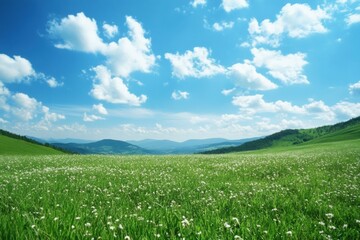 Poster - Expansive green meadow under a bright blue sky with fluffy clouds and distant mountains on a sunny day. Generative AI