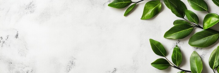 Leinwandbilder - Green leaves arranged on a light marble background with a clean aesthetic for decorative purpose or design. Generative AI