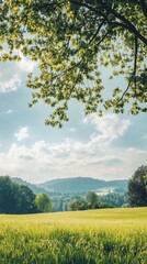 Poster - Sunlight filtering through leaves over a vast green field in a serene countryside landscape. Generative AI