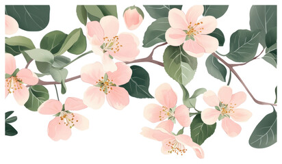 Wall Mural - PNG Pink apple blossom flowers blossoms illustration leaves.