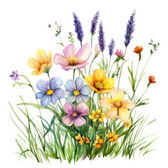 Wall Mural - PNG Small bouquet of colorful flowers in grass art illustration watercolor.