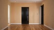 © napak - Empty Room with Dark Door and Light Wood Floor, Subtle Interior Design