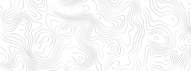 
Contemporary Abstract Topographic Map with Geometric Lines and a Clean Modern Grid Layout on a White Background
