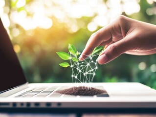 Canvas Print - A hand reaches into a laptop, nurturing a small plant growing from the keyboard, symbolizing the fusion of technology and nature.