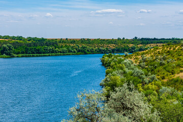 Wall Mural - Summer landscape with the green trees and river