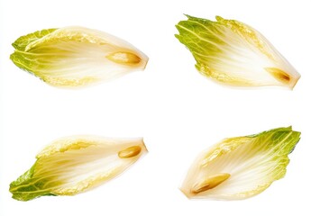 Wall Mural - Four pale green and white chicory leaves, meticulously arranged against a stark white backdrop. Each leaf is artfully dissected, showcasing its inner