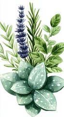 Sticker - Watercolor painting of a bouquet featuring lavender, rosemary, and a succulent with speckled leaves against a white background. The painting is