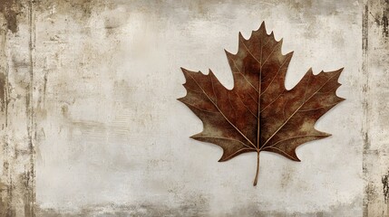 Wall Mural - Dried Maple Leaf on Grunge Background Autumn Fall Season