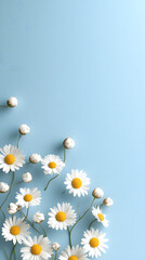 Wall Mural - A cheerful, minimalist arrangement of white daisies with bright yellow centers scattered naturally across the bottom of the frame. The clean, pale blue background gently fades to white near the top