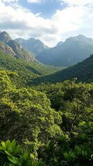 Poster - Breathtaking view of mountains and lush greenery in a vibrant valley during a sunny day