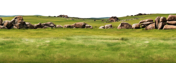 Wall Mural - png grass rock landscape grassland.