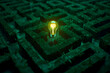 © Ismah Yuni - Glowing bulb in overgrown maze; solution concept