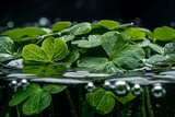 St. Patrick's Day.Shamrocks floating underwater with bubbles and reflections.