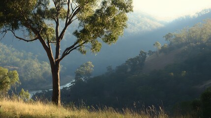 Wall Mural - Serene Sunrise Landscape, Lone Tree Overlooking Misty Valley