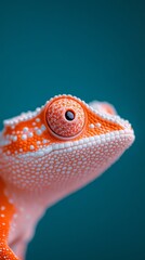 Fototapete - Vibrant Reptilian Display Colorfully Textured Chameleon Imagery for Nature-Inspired Design and Creative Marketing in Fashion and Tech Innovations