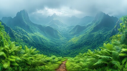 Wall Mural - Lush Tropical Jungle Landscape with Misty Mountains and Ferns in Green Valley, Nature Scene, Exotic Forest, Breathtaking View, Tranquil Atmosphere, Scenic Beauty