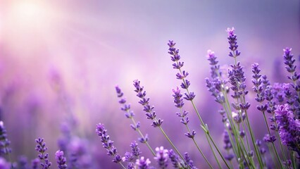 Wall Mural - Soft lavender hue on a smooth background, earthy, organic