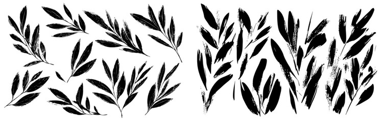 a modern collection showcasing hand-drawn eucalyptus leaves, herbs, and tree branches with long leav