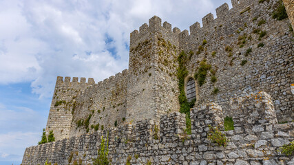 Wall Mural - Castle of Montemor-o-Velho