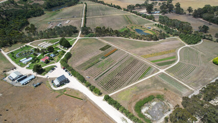 Aerial view of Jurlique Farm rose plantation amidst scenic countryside and farmland, Biggs Flat, South Australia.