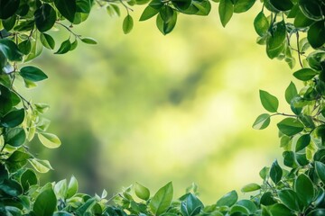 Fototapete - Lush green foliage frames an empty area inviting creative text or ideas in a tranquil outdoor setting. Generative AI